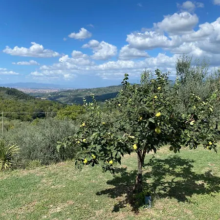 Florence Violetta * Bagno a Ripoli